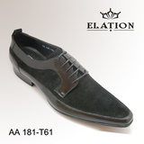 AA 181-T61