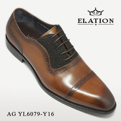 AG YL6079-Y16